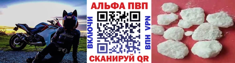 A-PVP СК  Урус-Мартан 