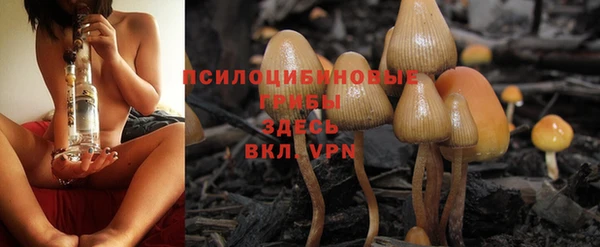 марихуана Долгопрудный
