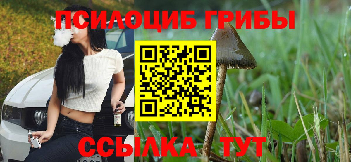 Галлюциногенные грибы Magic Shrooms  как найти закладки  Урус-Мартан 