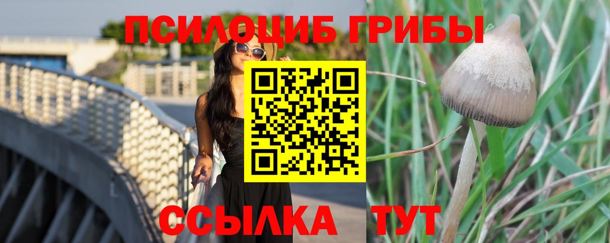 Галлюциногенные грибы Magic Shrooms  Вход с VPN  где можно купить наркотик  Урус-Мартан 